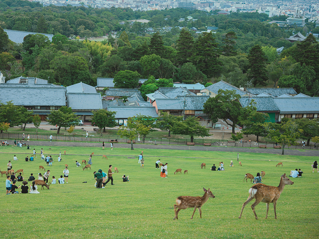 Nara